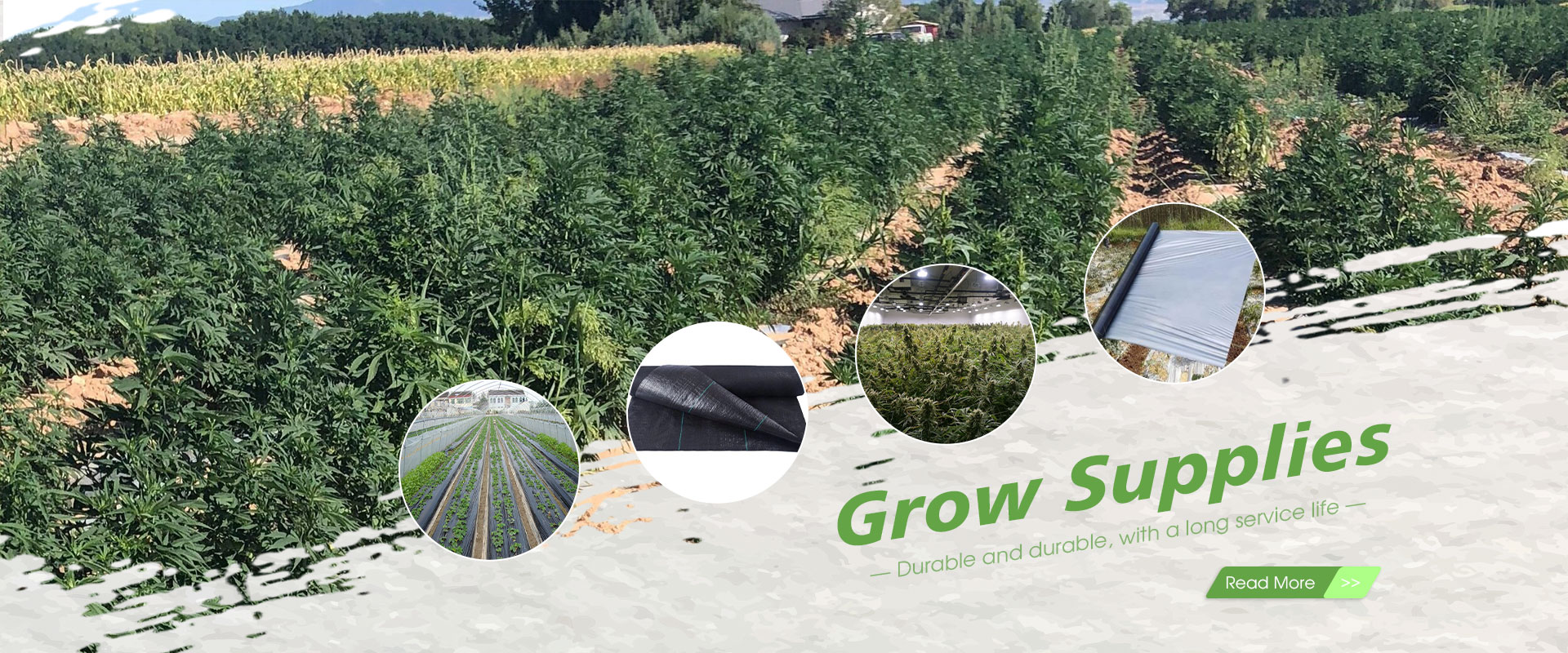 China Grow Supplies